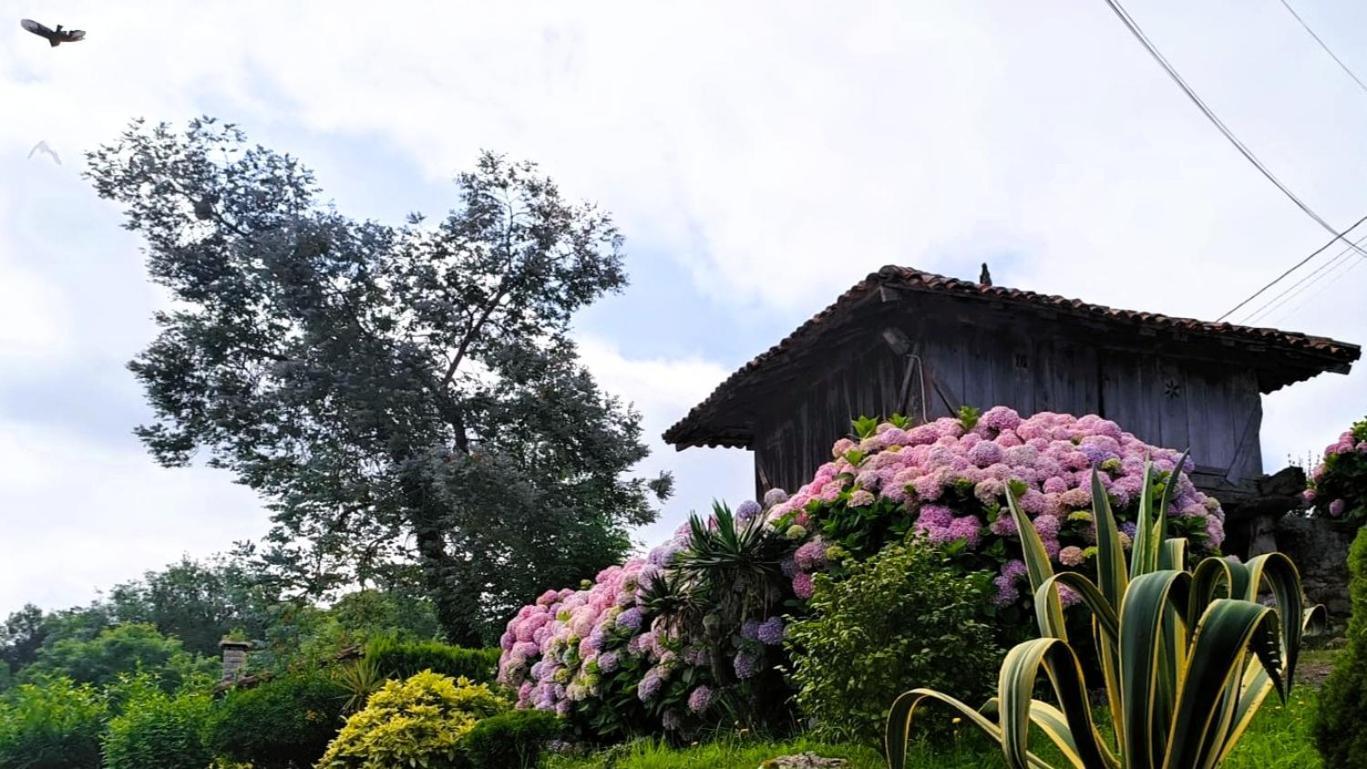 Apartamentos Mariaje Barro  Luaran gambar