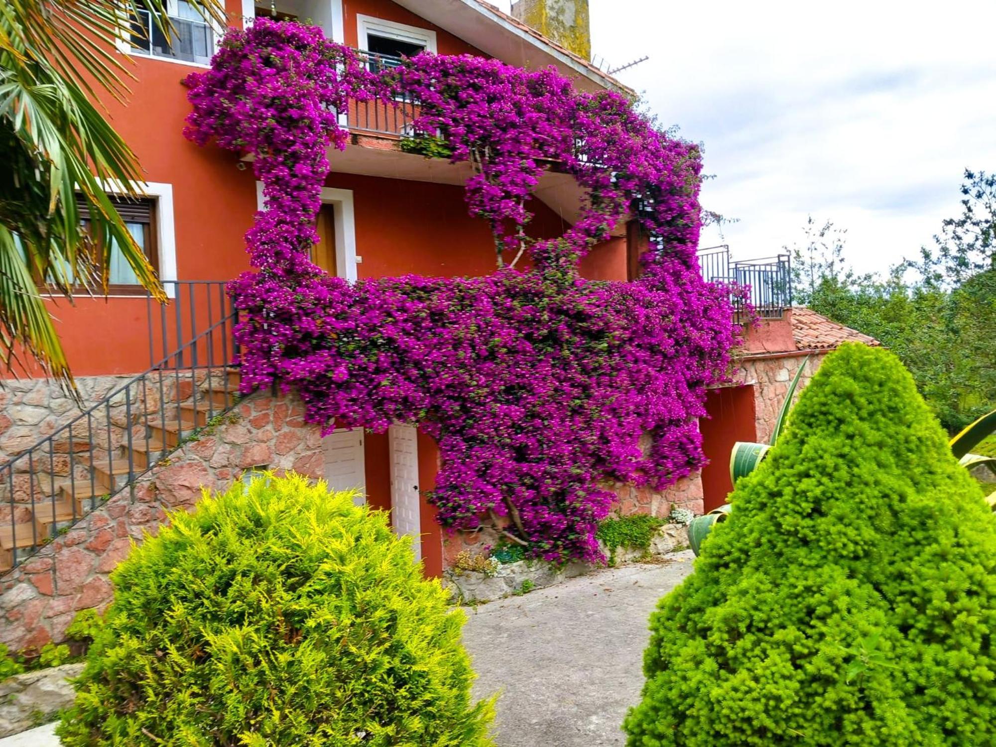 Apartamentos Mariaje Barro  Luaran gambar